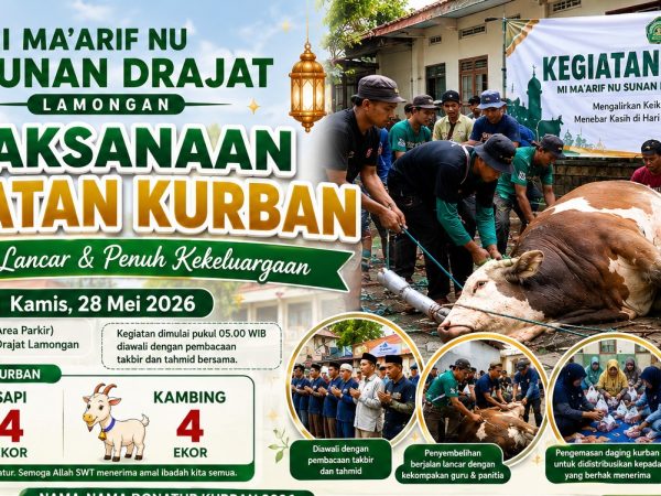 Pelaksanaan Kurban MI Murni Sunan Drajat Lamongan Berjalan Lancar dan Penuh Kekeluargaan